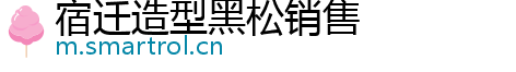 宿迁造型黑松销售